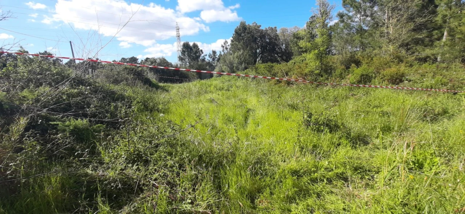 Terreno para Venda em Sesimbra (Castelo) Foto 8