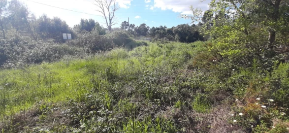 Terreno para Venda em Sesimbra (Castelo)