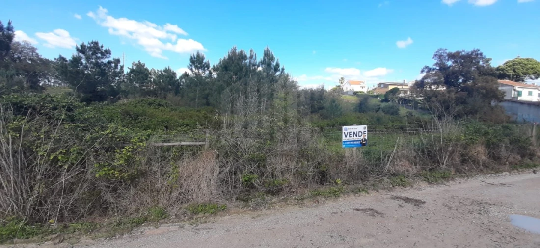 Terreno para Venda em Sesimbra (Castelo) Foto 4