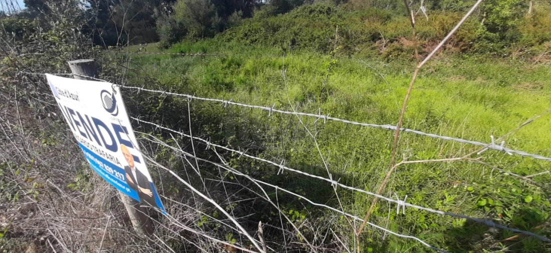 Terreno para Venda em Sesimbra (Castelo) Foto 10