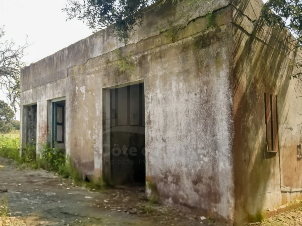 Terreno para Venda em Sado Foto 11