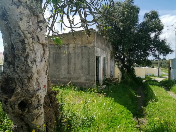 Terreno para Venda em Sado Foto 5