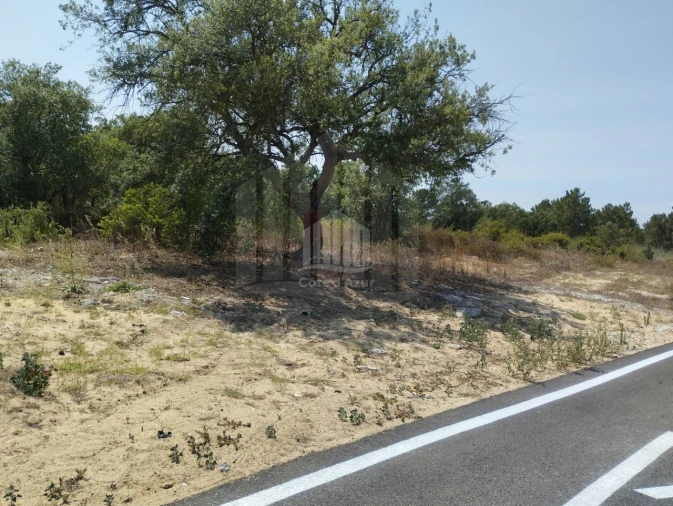Terreno para Venda em Quinta do Anjo