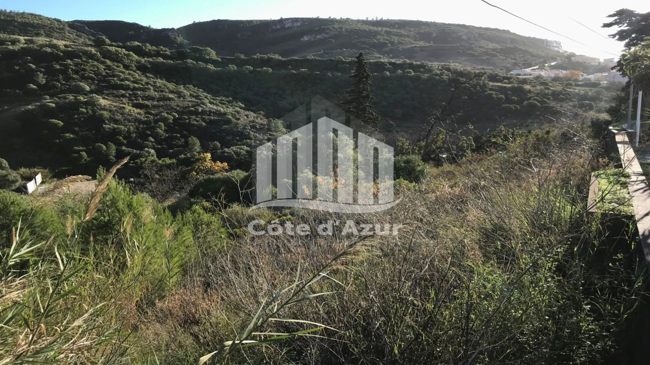 Terreno para Venda em Sesimbra (Santiago) Foto 3