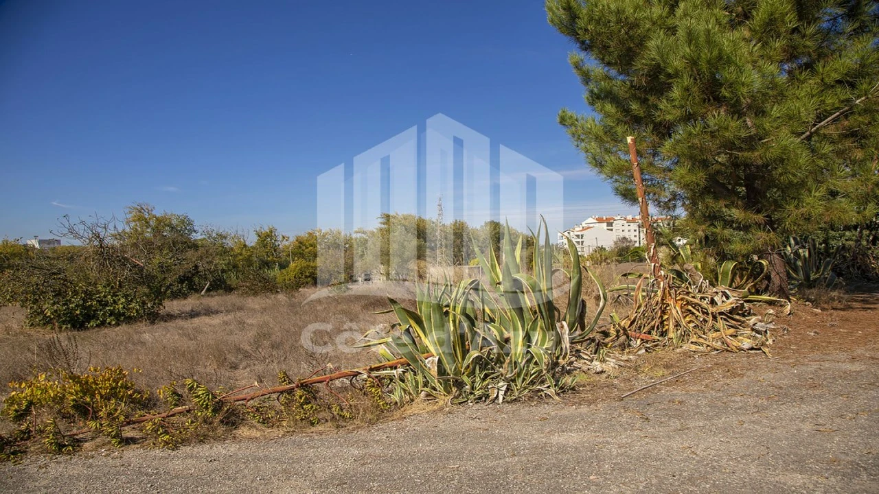 Terreno para Venda em Palhais e Coina Foto 11