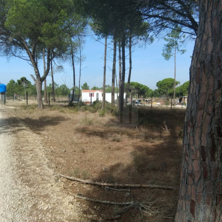 Terreno para Venda em Sesimbra (Castelo) Foto 1