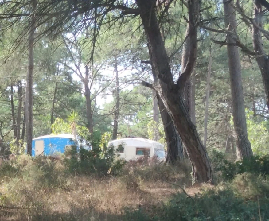 Terreno para Venda em Sesimbra (Castelo) Foto 5