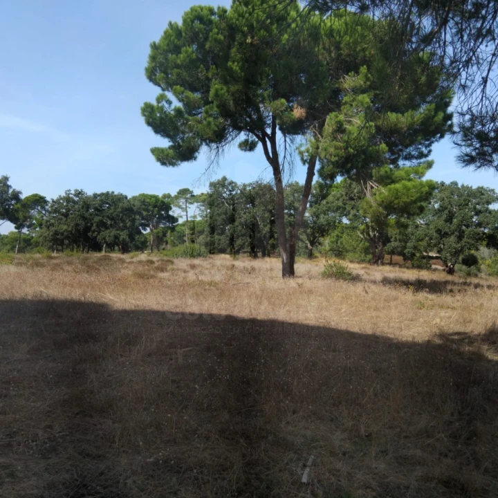 Terreno para Venda em Sesimbra (Castelo) Foto 6