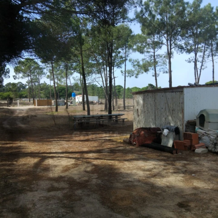Terreno para Venda em Sesimbra (Castelo) Foto 16