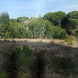 Terreno para Venda em Sesimbra (Castelo)