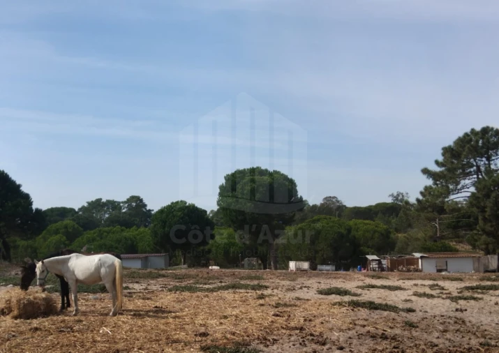 Terreno para Venda em Sesimbra (Castelo) Foto 2