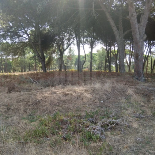 Terreno para Venda em Sesimbra (Castelo) Foto 7