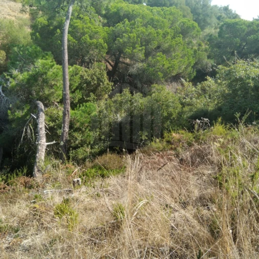 Terreno para Venda em Sesimbra (Castelo) Foto 9