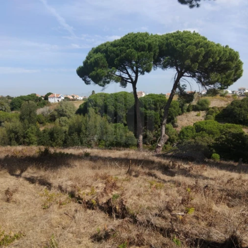 Terreno para Venda em Sesimbra (Castelo) Foto 11