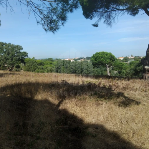Terreno para Venda em Sesimbra (Castelo) Foto 12