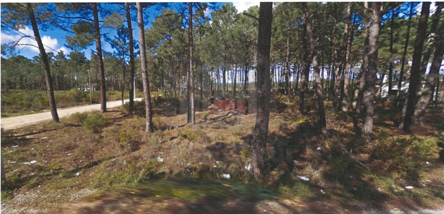 Terreno para Venda em Sesimbra (Castelo) Foto 1