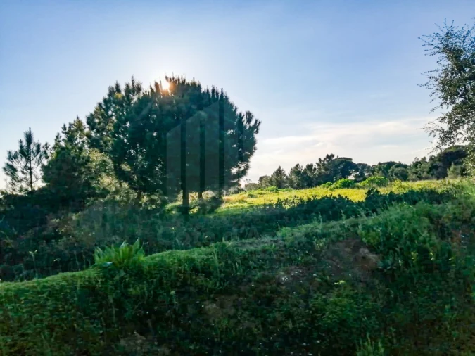 Terreno para Venda em Quinta do Anjo Foto 2