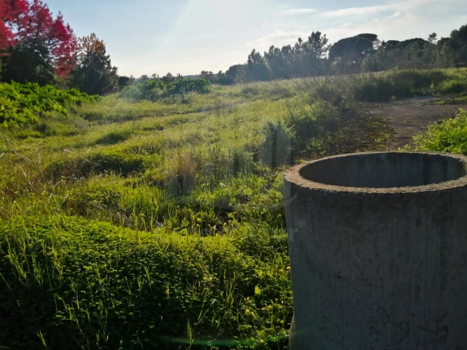 Terreno para Venda em Quinta do Anjo Foto 5