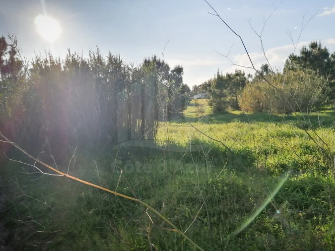 Terreno para Venda em Quinta do Anjo Foto 4
