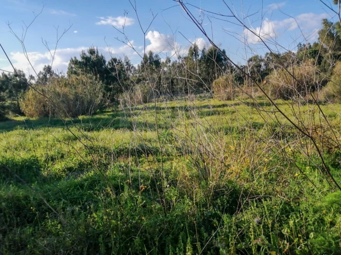 Terreno para Venda em Quinta do Anjo Foto 5