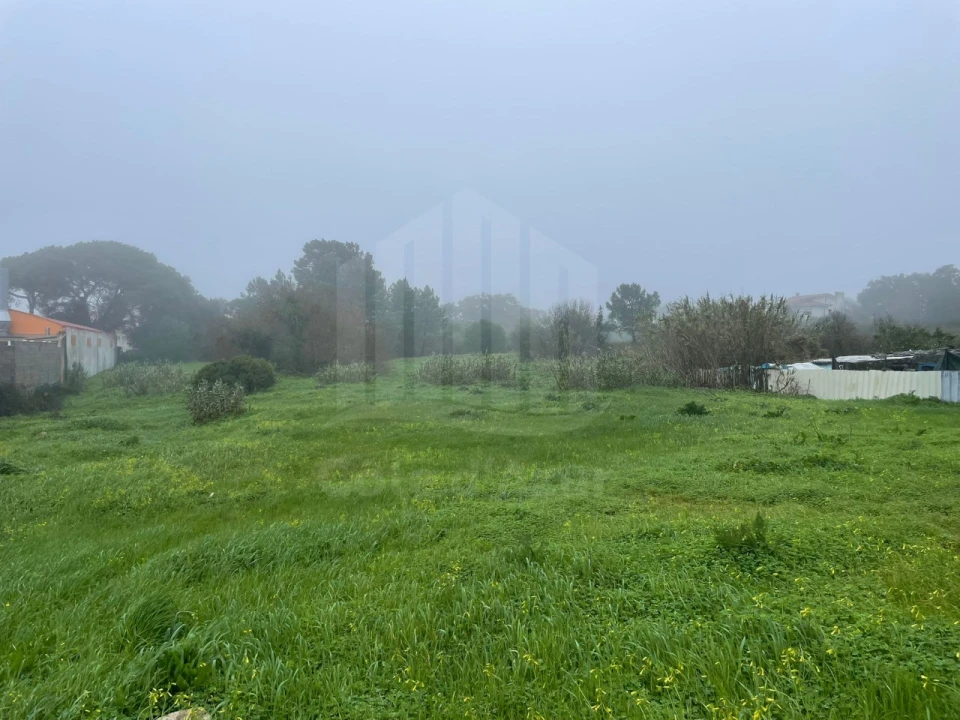 Terreno para Venda em Sesimbra (Santiago) Foto 2