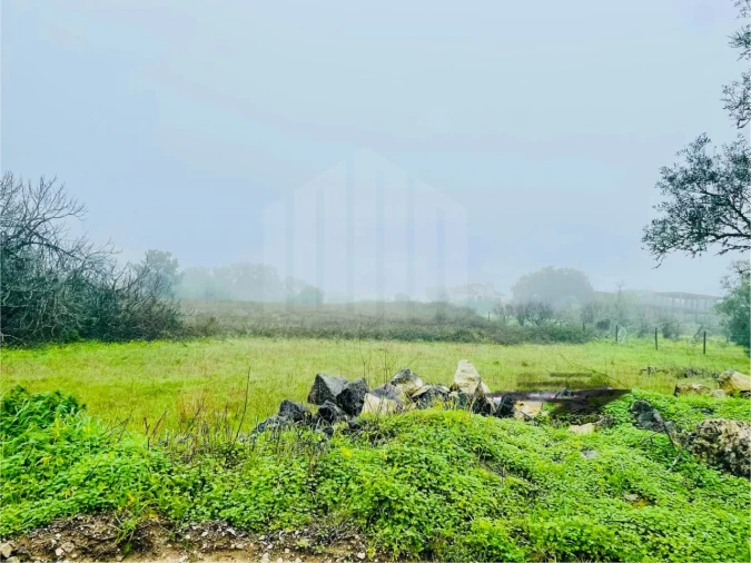 Terreno para Venda em Sesimbra (Santiago) Foto 4