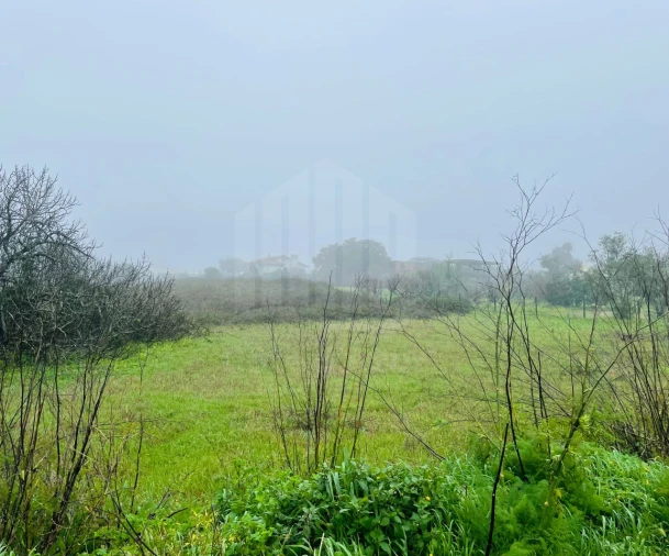 Terreno para Venda em Sesimbra (Santiago) Foto 6