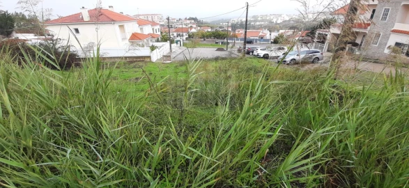 Terreno para Venda em Sesimbra (Castelo)