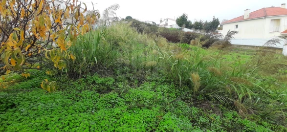 Terreno para Venda em Sesimbra (Castelo)