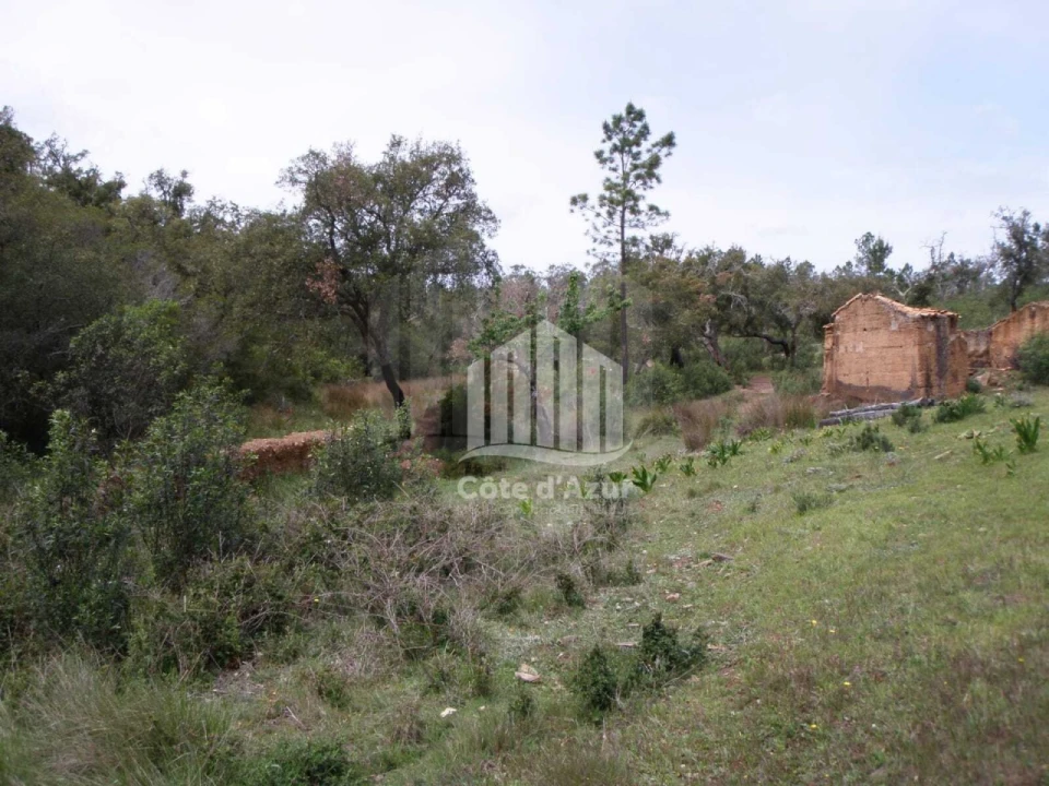 Terreno para Venda em Santiago do Cacém, Santa Cruz e São Bartolomeu da Serra Foto 6