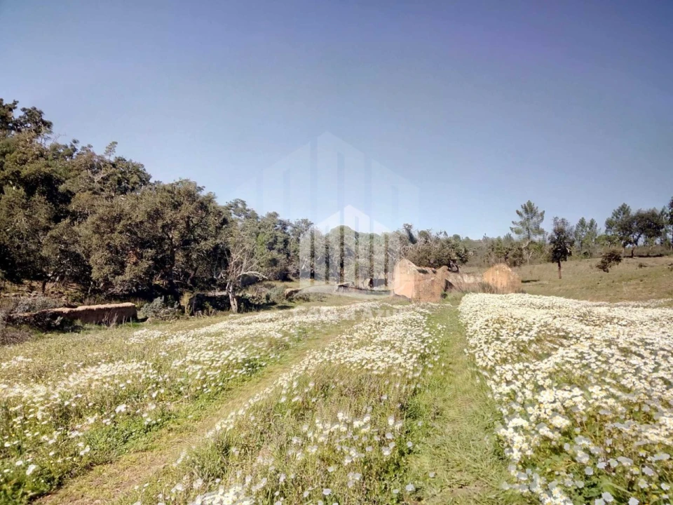 Terreno para Venda em Santiago do Cacém, Santa Cruz e São Bartolomeu da Serra Foto 3