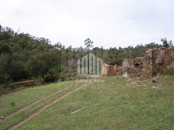 Terreno para Venda em Santiago do Cacém, Santa Cruz e São Bartolomeu da Serra Foto 5