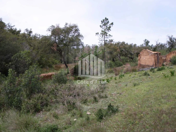 Terreno para Venda em Santiago do Cacém, Santa Cruz e São Bartolomeu da Serra Foto 6