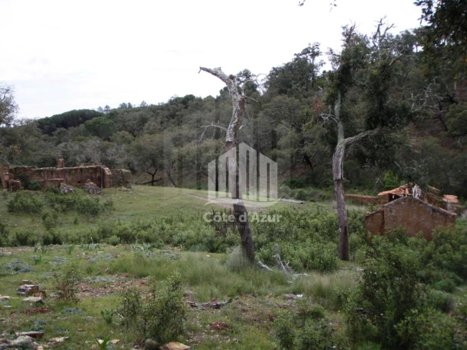 Terreno para Venda em Santiago do Cacém, Santa Cruz e São Bartolomeu da Serra Foto 7