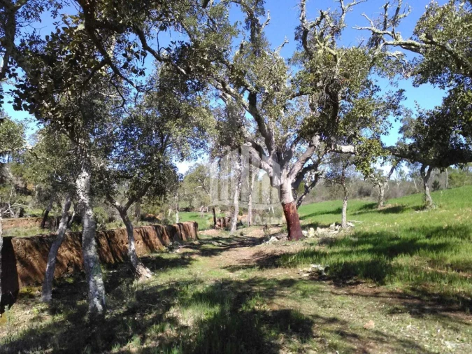 Terreno para Venda em Santiago do Cacém, Santa Cruz e São Bartolomeu da Serra Foto 9