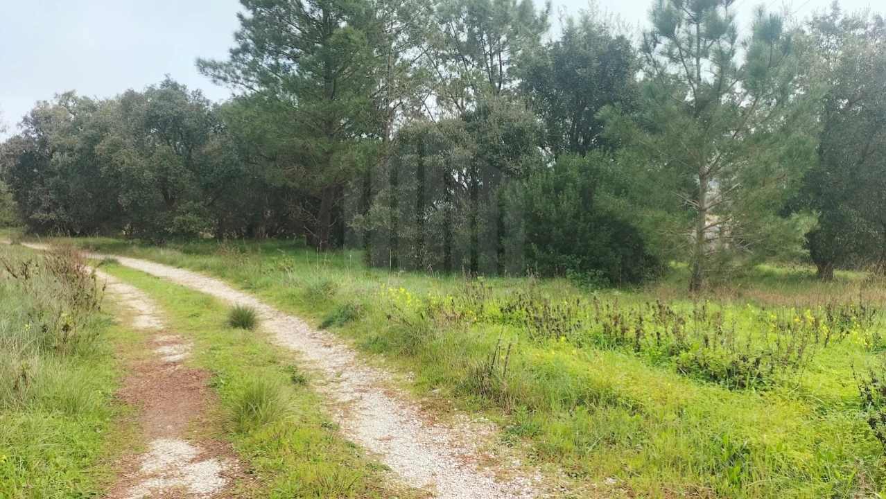 Terreno para Venda em Sesimbra (Castelo) Foto 2