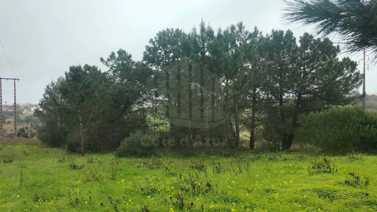 Terreno para Venda em Sesimbra (Castelo) Foto 3