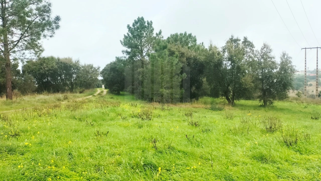 Terreno para Venda em Sesimbra (Castelo) Foto 4