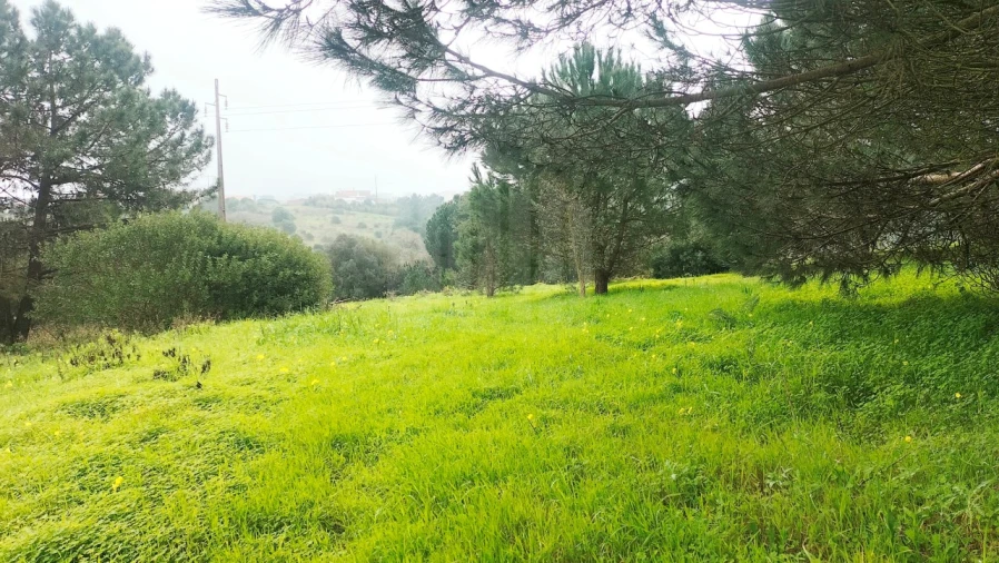 Terreno para Venda em Sesimbra (Castelo)