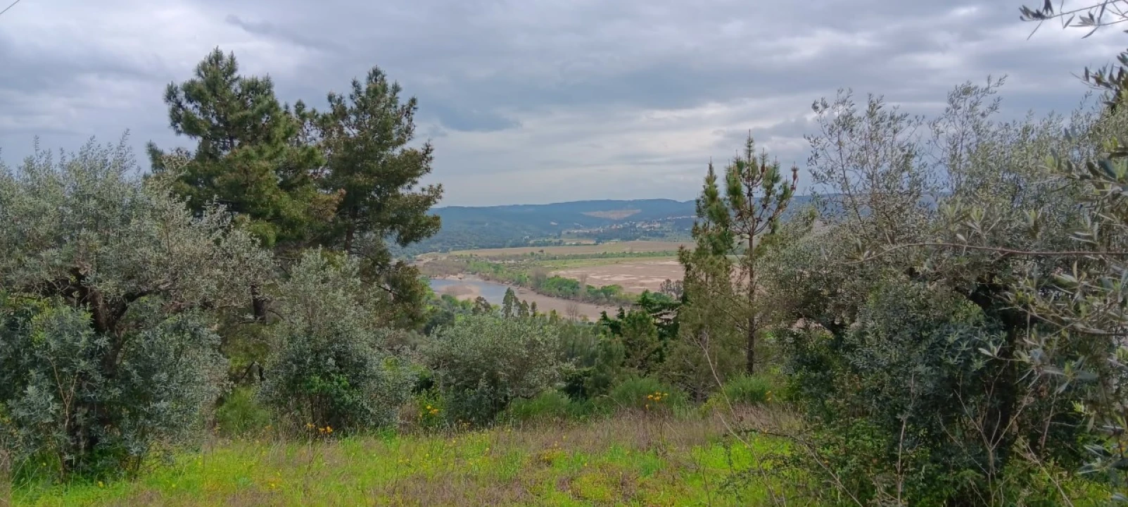 Terreno para Venda em Ortiga Foto 1