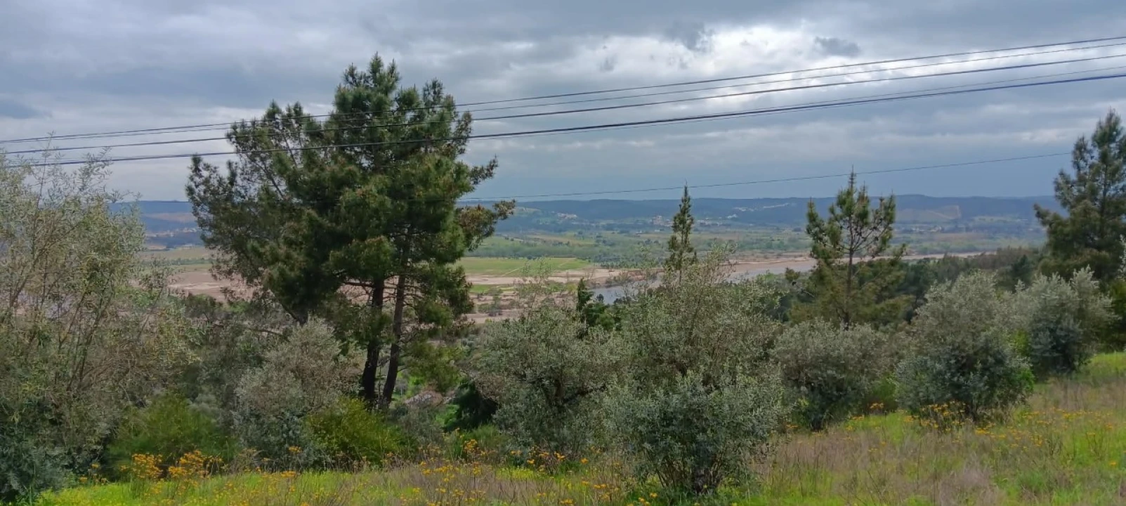 Terreno para Venda em Ortiga Foto 3