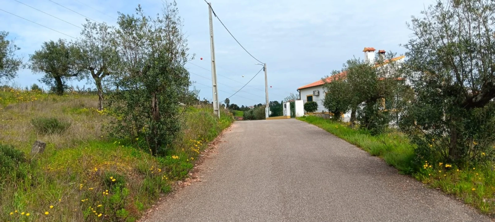 Terreno para Venda em Ortiga Foto 5