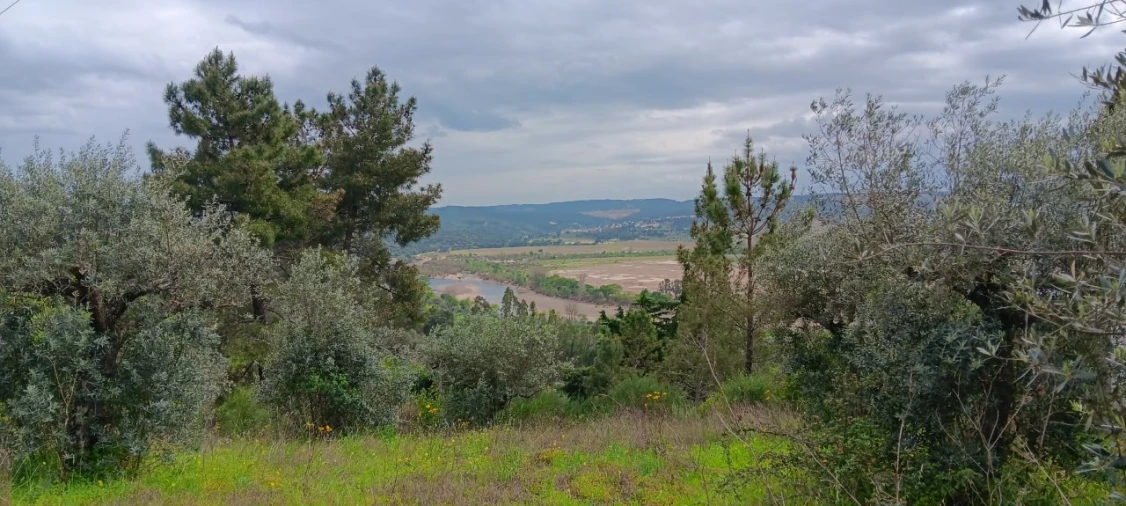 Terreno para Venda em Ortiga Foto 1