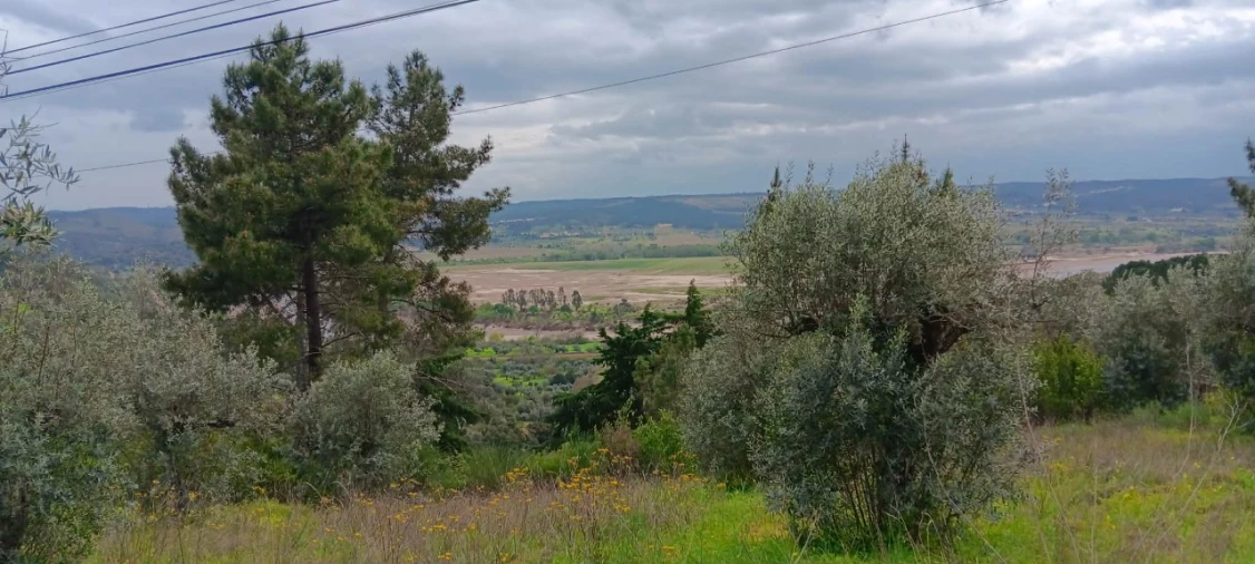 Terreno para Venda em Ortiga Foto 4