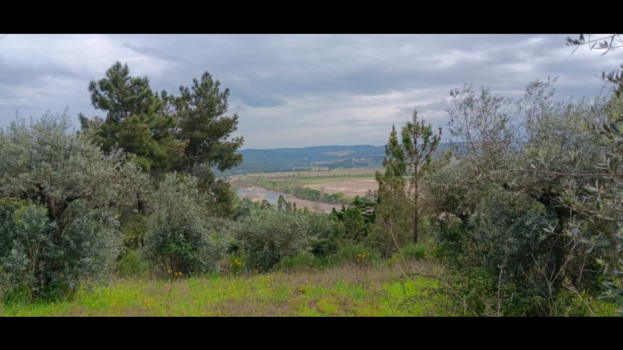 Terreno para Venda em Ortiga