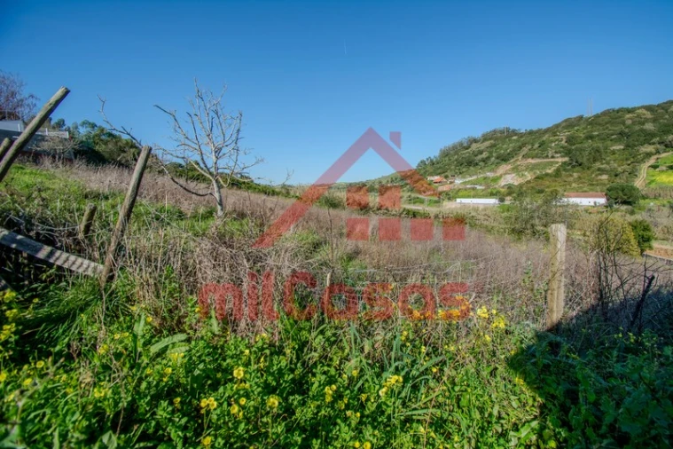 Quinta T4 para Venda em Sobral de Monte Agraço Foto 41