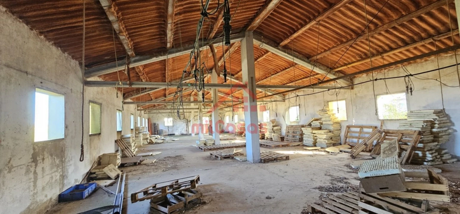 Armazém para Venda em Ribamar Foto 5