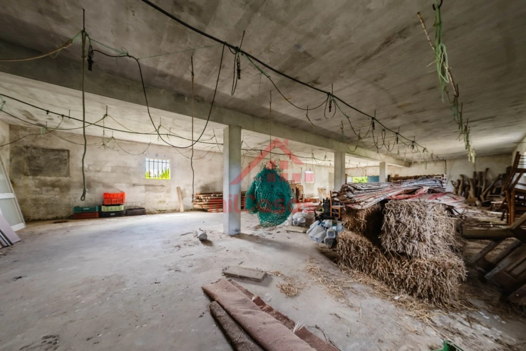 Armazém para Venda em Ribamar Foto 17