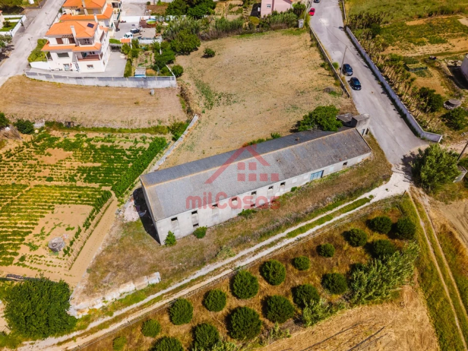 Armazém para Venda em Ribamar Foto 19