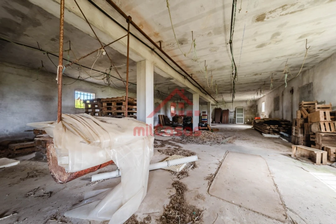 Armazém para Venda em Ribamar Foto 21